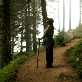 Caminante en sendero con árboles